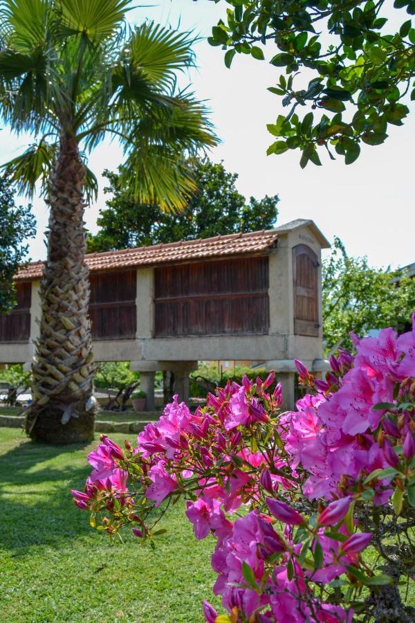 Casinha Do Eido Novo - Alojamento Local Valenca Εξωτερικό φωτογραφία